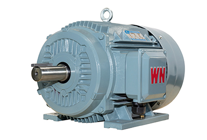 TYCP2系列三相變頻驅(qū)動永磁同步電動機(jī) TYCP2系列三相變頻驅(qū)動永磁同步電動機(jī)